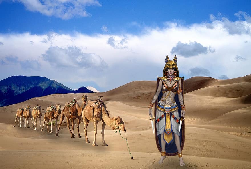 bakgrund, krigare, öken-, kameler, fantasi, kvinna, avatar, karaktär, digital konst