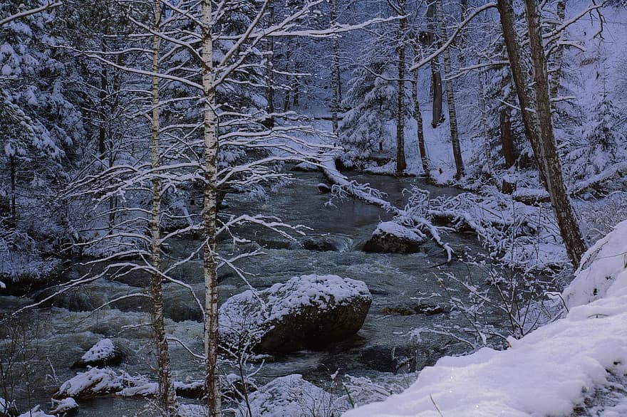 δάσος, ποτάμι, χειμώνας, χιόνι, πάγος, παγωνιά, παγωμένος, παγωμένο ποτάμι, ρεύμα, ποταμάκι, βράχια