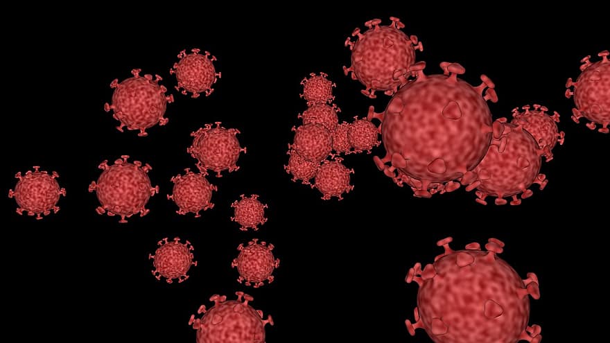 katachtig coronavirus, corona, Ncovid, de sars-cov-2, 2019-nCoV