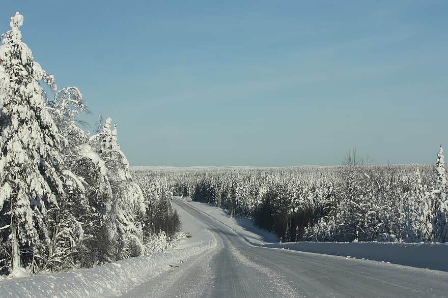 nieve, naturaleza, paisaje, viaje, cielo, escénico, bosque, frío, hielo, la carretera, ze