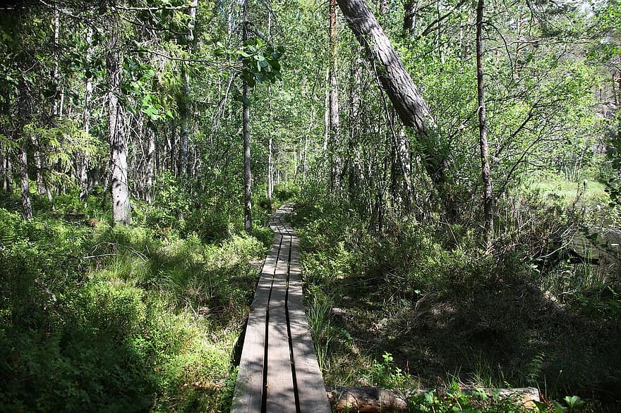 sump, stien, duckboards, turisme, udflugtsskranke, Naturbeskyttelsesområde, Ritajärvi, Sastamala, Finsk