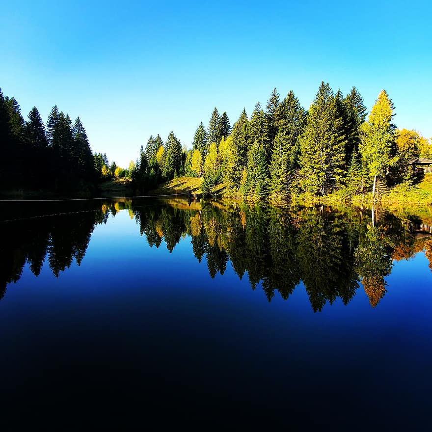 деревья, пруд, лес, природа, осень, воды, падать, время года, на открытом воздухе, синий, дерево