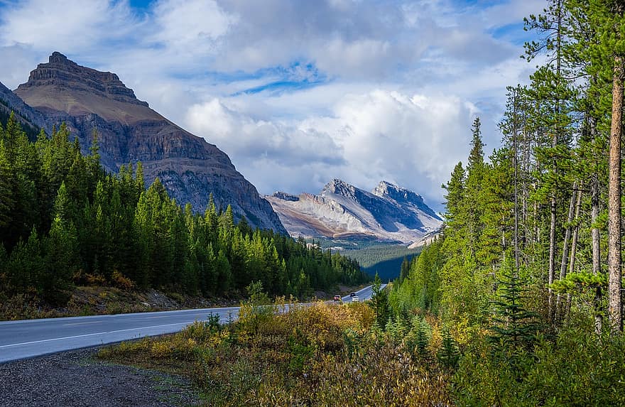 strada, montagne, alberi, foresta, montagne Rocciose, catena montuosa, paesaggio, nuvole, Alberta, ovest