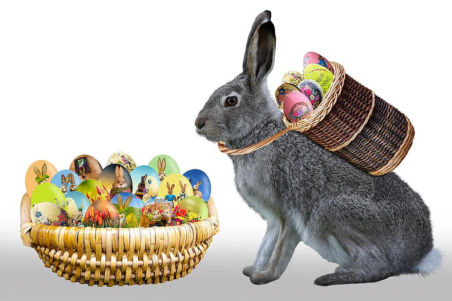 Великденски заек, Великденско яйце, Великденски фестивал, Великденски подарък, Великденско гнездо, кошница, Великденска украса, заек, сладък, изолиран, християнство