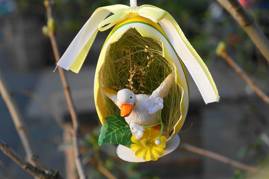 Pasqua, ou de Pasqua, Arbust de Pasqua, decoració de pasqua, decoració, ocell, groc, bec, primer pla, estiu, granja