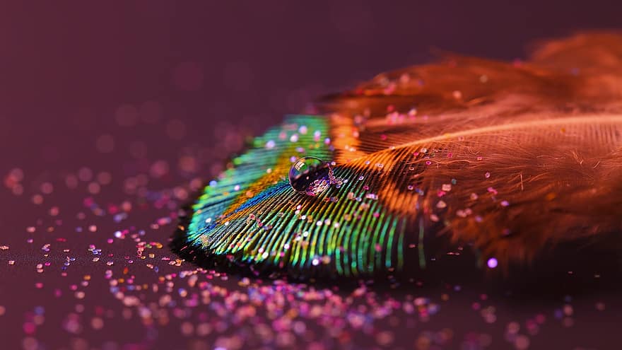 Feather, Drop, Glitter, Fire, Abstract, Green, Pattern
