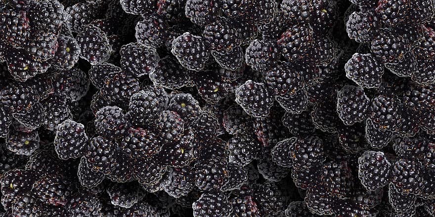 dâu đen, trái cây, blackberry, quả mọng, khỏe mạnh, ngọt, tươi, chín muồi, ngon ngọt, Hoa quả tươi, Xám khỏe mạnh