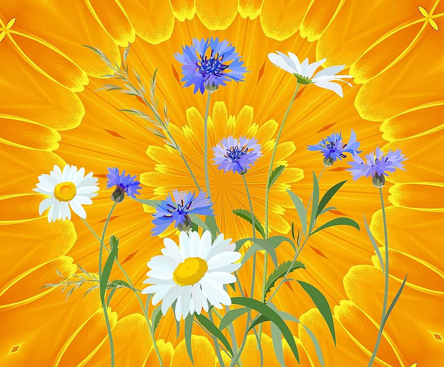 bloemen, madeliefje, geel, blauw, wit, cirkel, abstract, oranje bloem, Oranje abstract