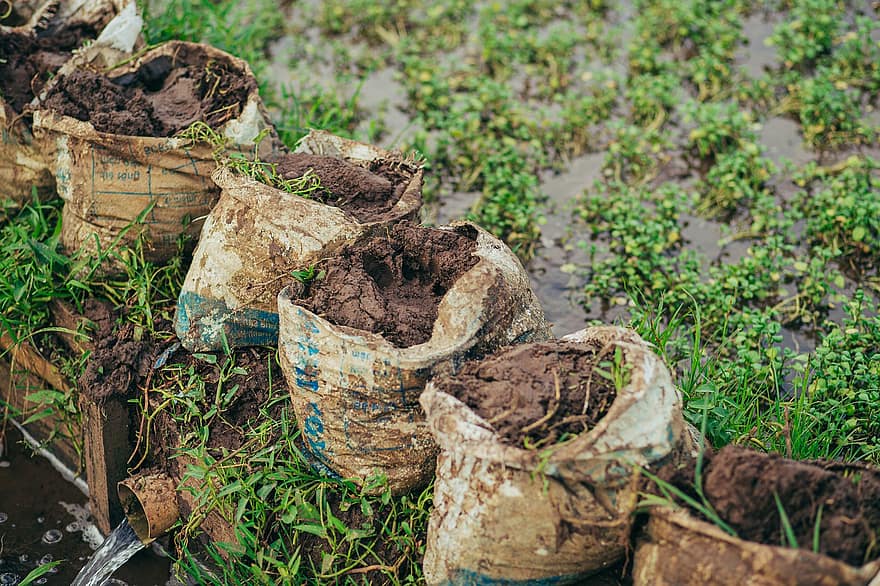 Countryside, Harvest, Field, Agriculture, Cultivation, Farm, Landscape, dirt, growth, dirty, gardening