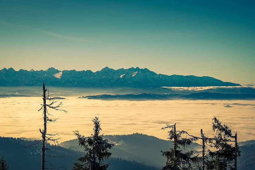dağlar, zirve, bulutlar, ağaçlar, bulutlar deniz, orman, dağ silsilesi, peyzaj, Tatra Dağları, tatry, turbacz