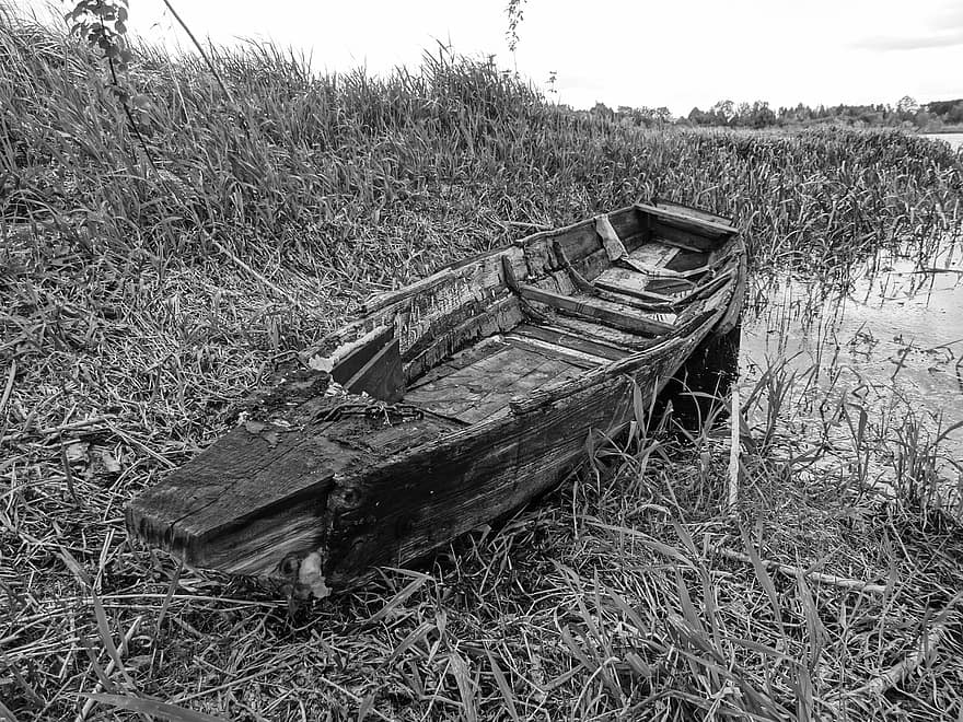 barca abbandonata, fiume, vecchia barca, bianco e nero, monocromatico, natura, zone umide, nave nautica, acqua, erba, abbandonato