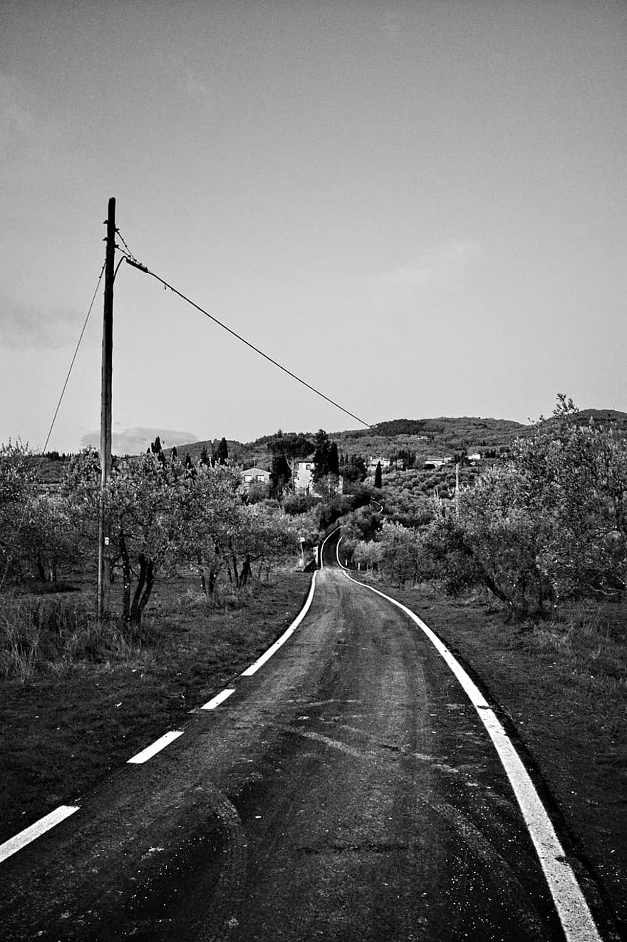 strada sterrata, strada di campagna, rurale, campagna, alberi, colline, Via Delle Tavarnuzze, Firenze, Toscana, Italia, bianco e nero