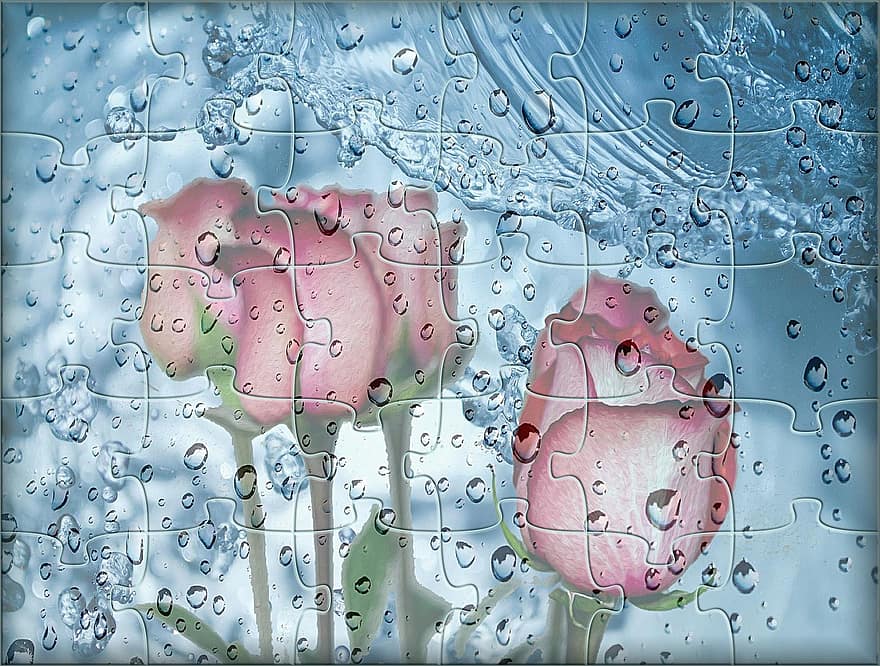 puzzel, muurschildering, grappig, tekening, artistiek, rozen, bloemen, water, regen, artwork, creativiteit