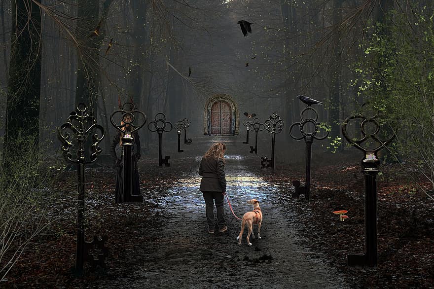 kobieta, pies, ścieżka, korona, drzewa, przerażający