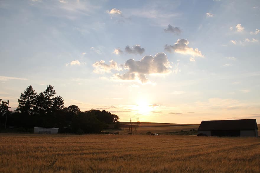 amanecer, campo de trigo, arboles, cielo, nubes, Dom, paisaje, Austria