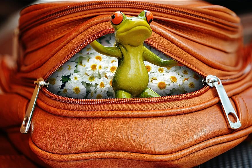 개구리, 가방, 지퍼, 열다, 이상한, 귀엽다
