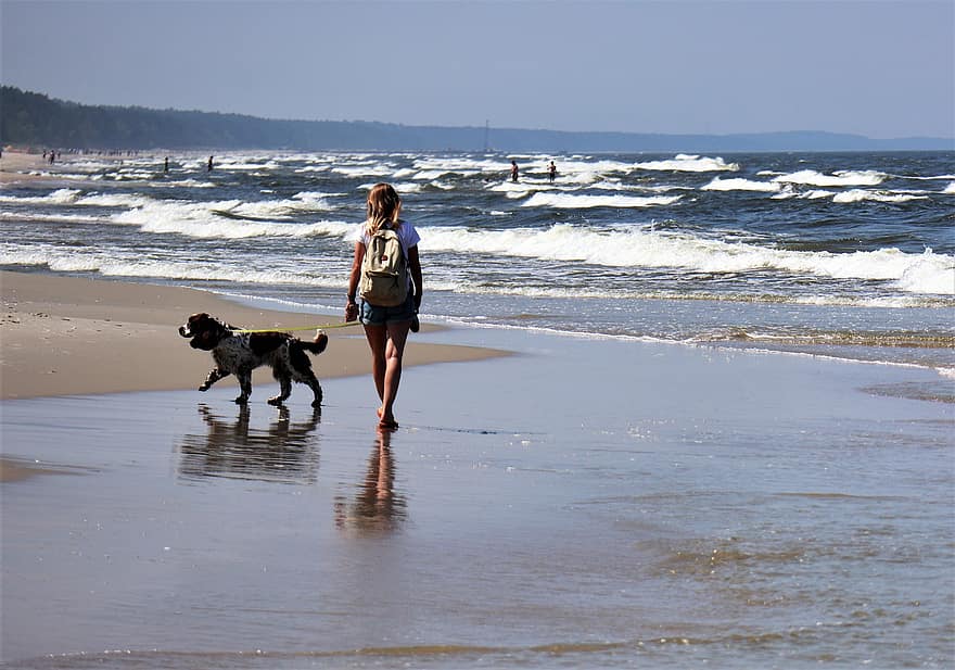 Meer, Wasser, Frau, Wochenendspaziergang, Hund, Bank, die Wellen, Himmel, Wolken, Urlaub, Juni