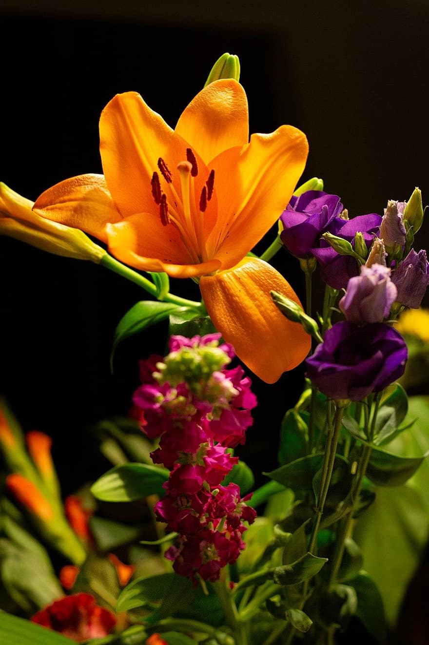 ดอกไม้, ธรรมชาติ, เบ่งบาน, ปลูก, ใกล้ชิด, กลีบดอกไม้, หัวดอกไม้, ใบไม้, ฤดูร้อน, ดอก, สีเหลือง