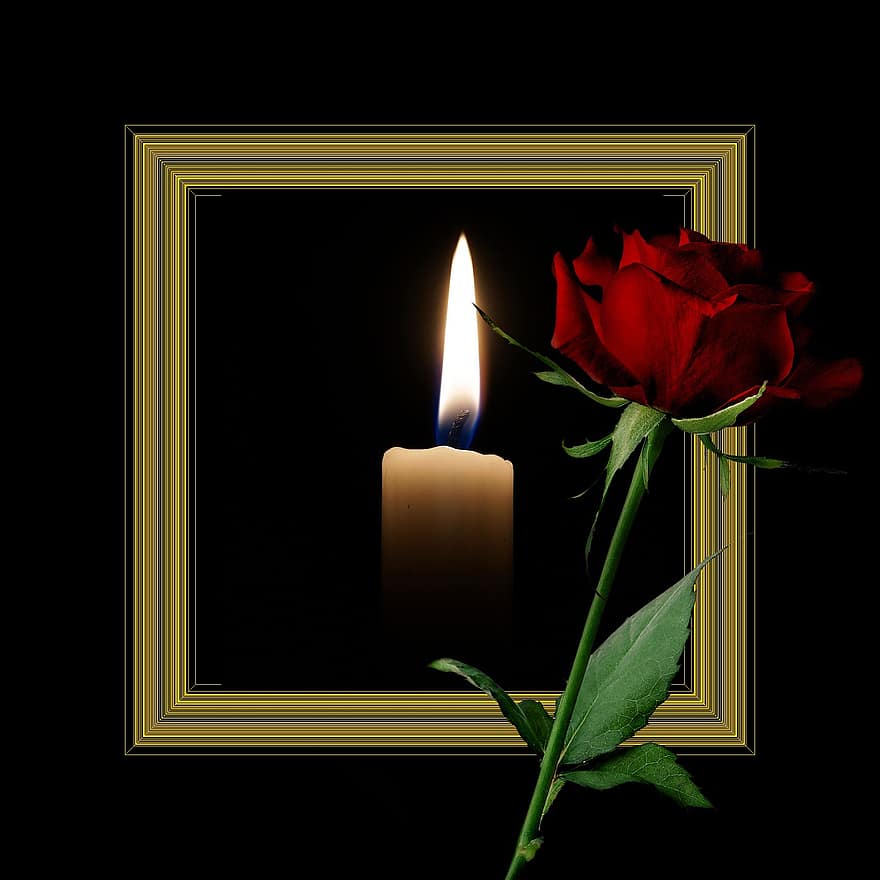 vela, luto, lembrar, comemorar, Rosa vermelha, memória, emocional