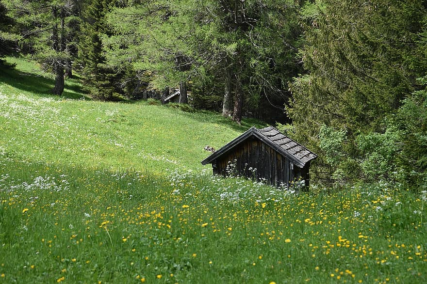 cabana, montanha, Prado, rural, casa de madeira, natureza, caminhada, relaxamento, Tirol, alm, verão