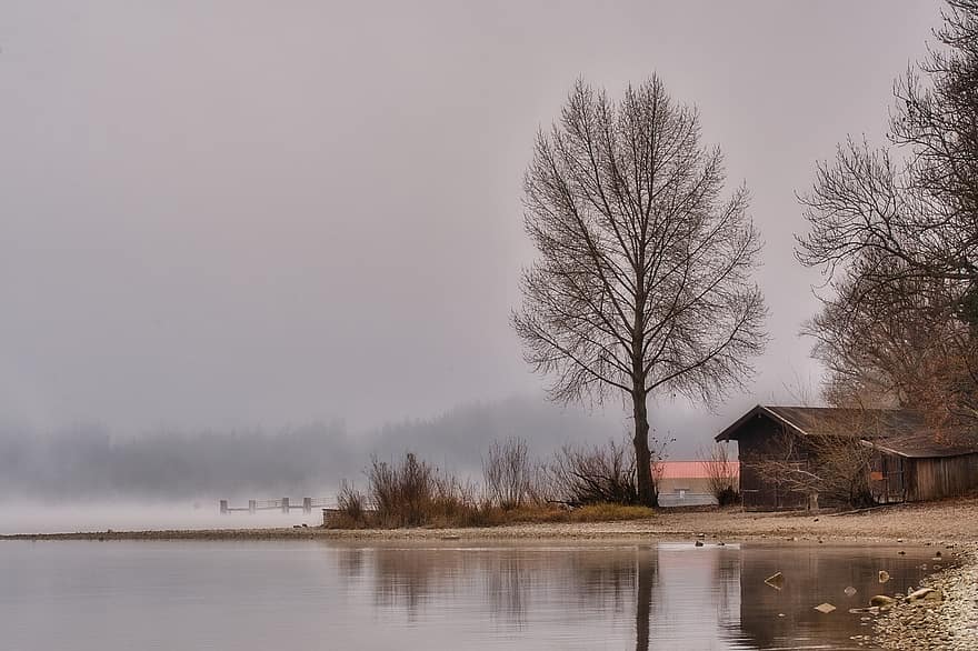 lago, alberi, banca, spiaggia, capanna, nebbia, nebbioso, autunno, chiemsee, Alta Baviera