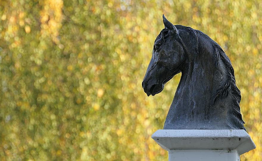 estátua do cavalo, busto de cavalo