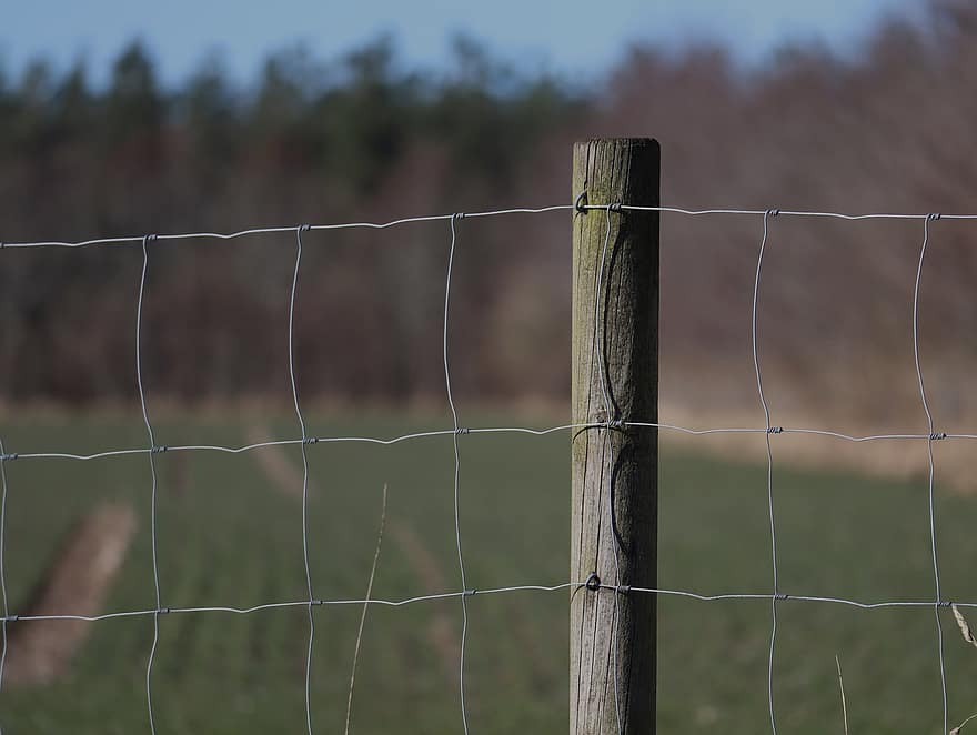 Fence, Wires, Wooden Pole, Wood, Chicken Wire, Stick, Mesh, Field, Nature, grass, barbed wire
