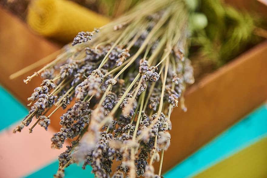 lavendel-, blommor, Lavendel kvistar, bukett, dekoration, Örtbaserade blommor, aromaterapi