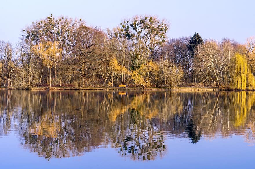 Trees, Lake, Leaves, Pond, Park, Spring, Scenic, Sunlight, Nature
