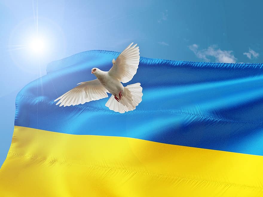 Ukraine, paix, bannière, Colombe, drapeau, guerre, politique, bataille, agression, la violence, conflit