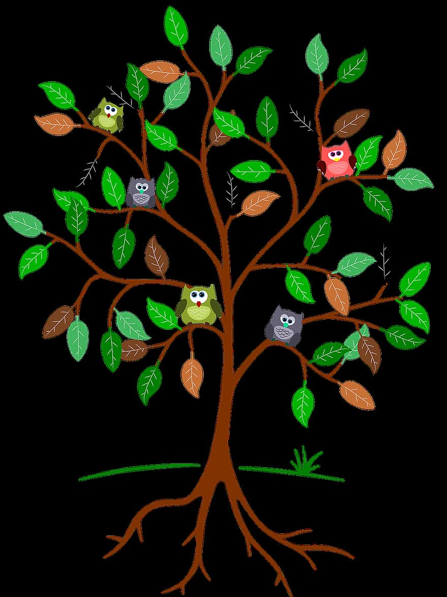 дерево, корень, листья, совы, зеленый