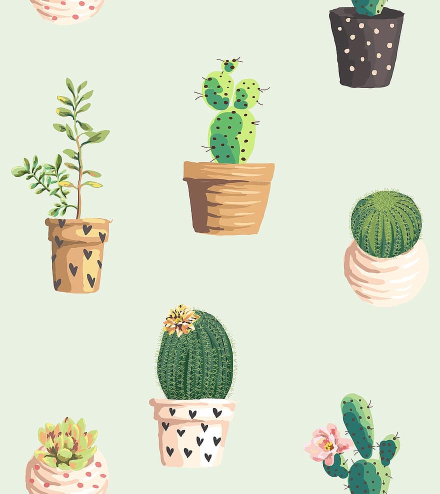 cactus, planten, pannen, bloemen, patroon, schattig behang, telefoon behang