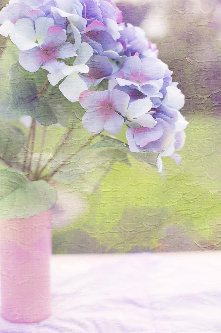 hortensia, violet, doux, délicat, fleurs, la nature, été, printemps, plante, floral, fleur