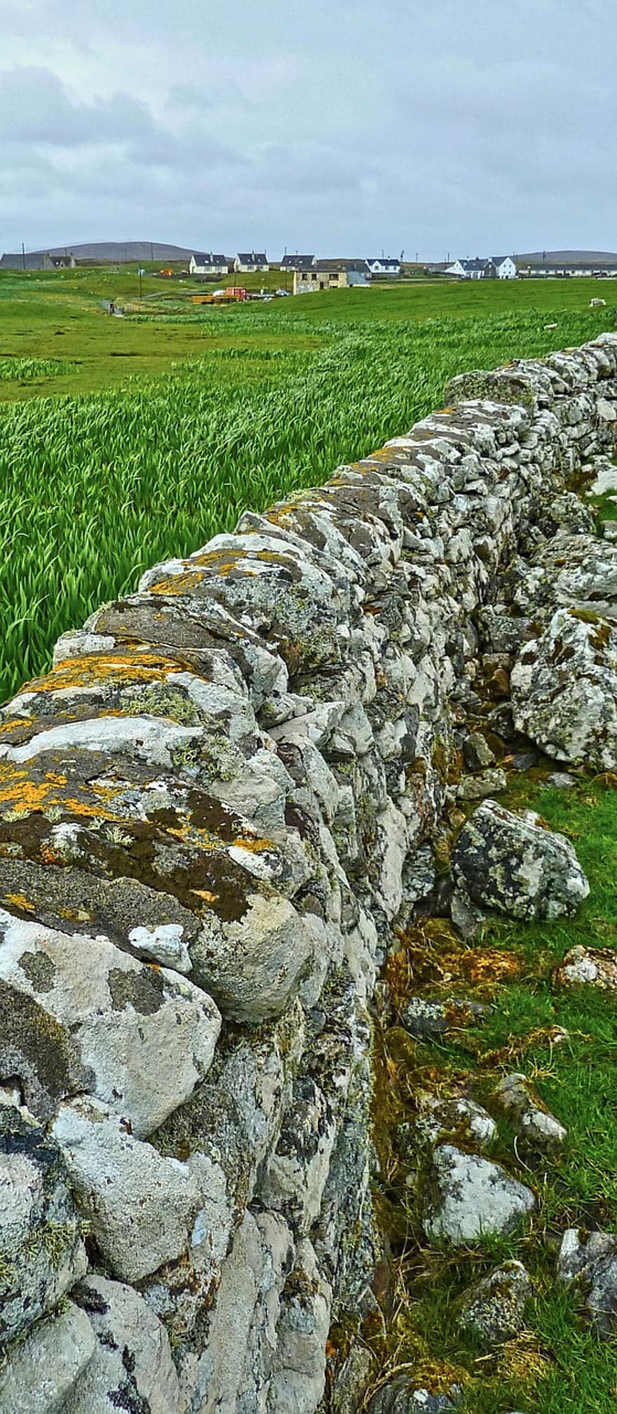 dinding batu, bidang, dinding, rumput, batu, pedesaan, tua, kuno, lumut, pemandangan pedesaan, pemandangan