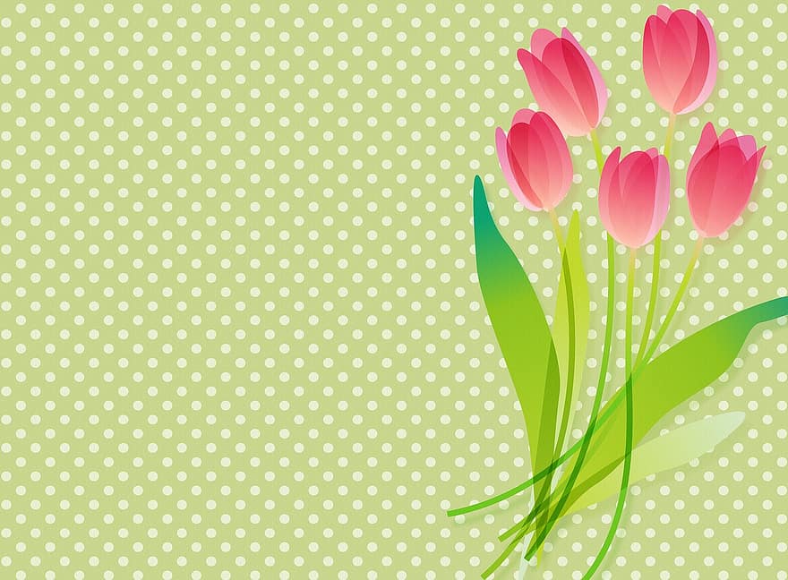 Latar Belakang Tulip, polkadot hijau, latar belakang musim semi, tulip, bunga-bunga, dekoratif, musim panas, dekorasi, musim semi, warna, titik-titik