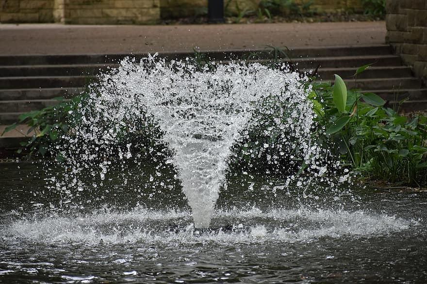 Houston zoo, fontána, park, rybník, Umělý rybník, voda, mokré, letní, stříkající, pokles, svěžest
