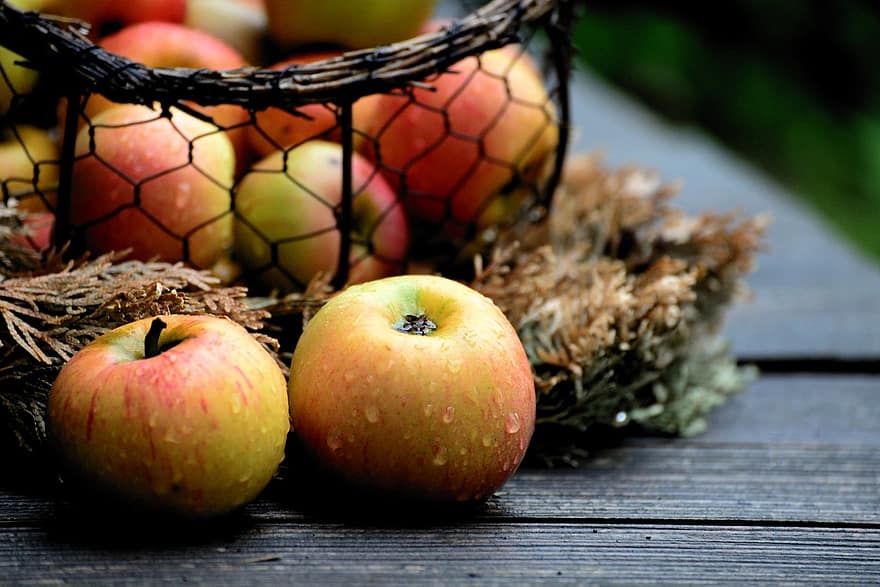 Äpfel, Obst, Lebensmittel, gesund, frisch, reif, Ernte, nass, Tau