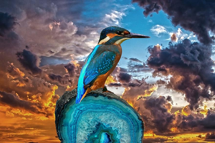 синьо рибарче, птица, фантазия, цветен, животно, син