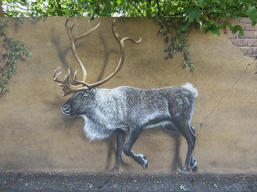Moose, Wall Art, Wall, Zoo, Berlin, Lichtenberg, Germany, Animal, Nature, Animal World, Animal Park Berlin