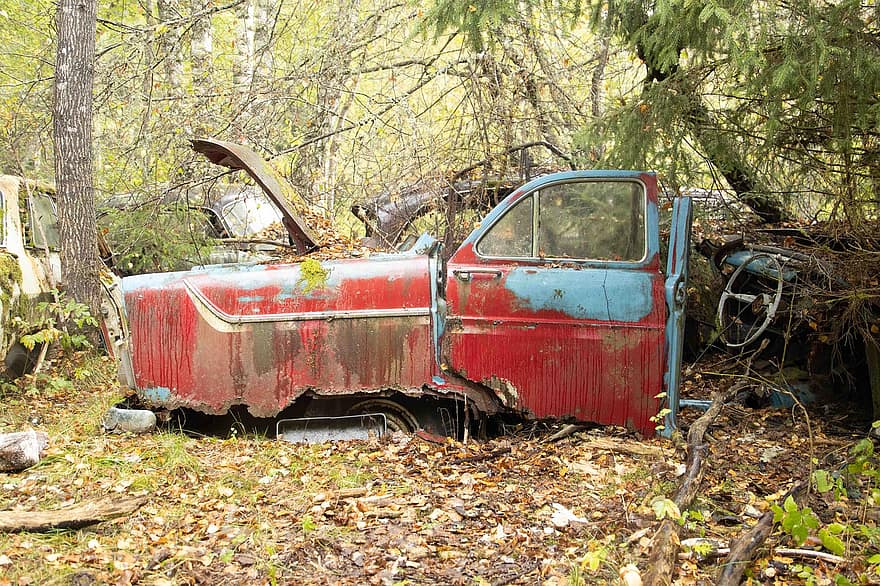 автомобиль, старый, развалина, лес