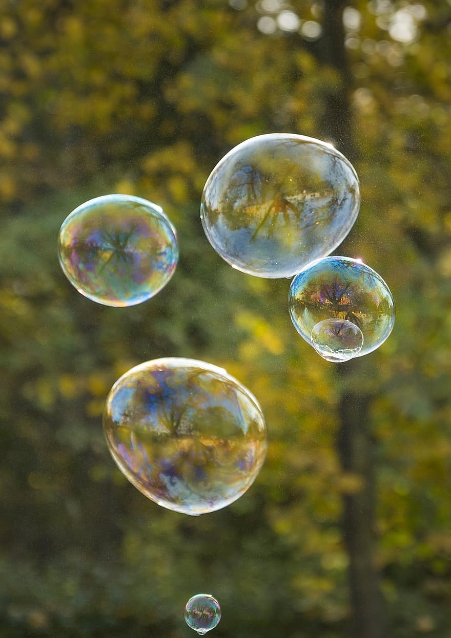 мыльные пузыри, пузырьки, парк