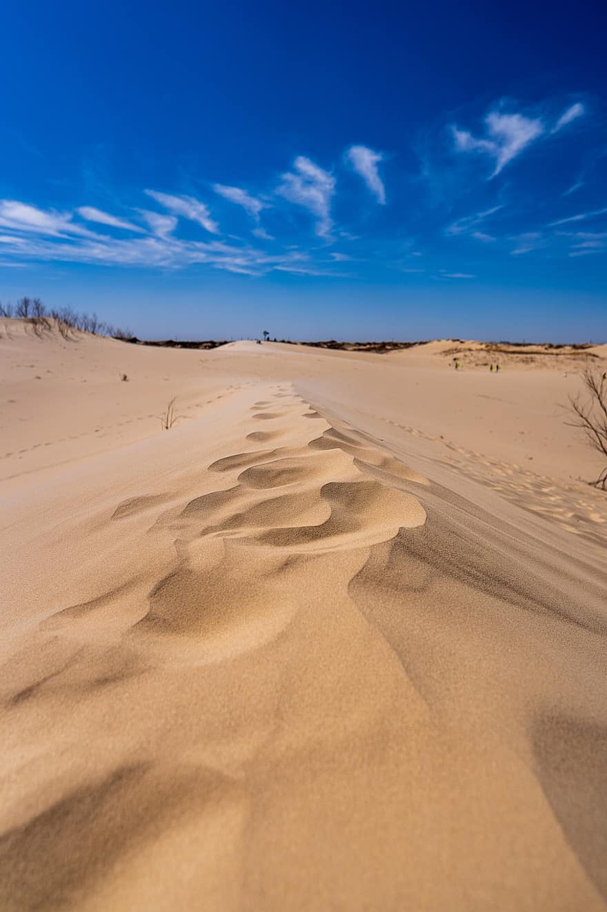 sorra, dunes, petjades, desert, texas, paisatge, duna de sorra, sec, clima àrid, calor, temperatura