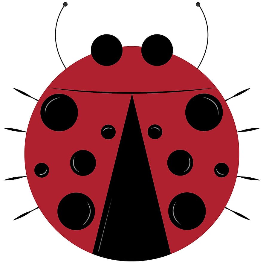 lady bug, insekt, djur-, ClipArt