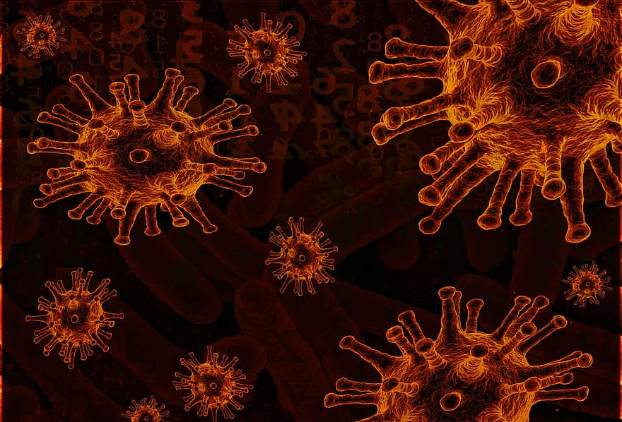 COVID-19, corona, coronavirus, virus, cuarentena, pandemia, infección, enfermedad, epidemia, médico, doctor
