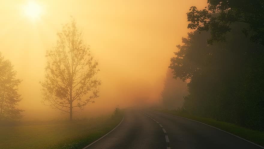 дорога, туман, сільській місцевості, туманний, проїжджа частина, дерева, краєвид, природи, світанок, схід сонця, сонячне світло