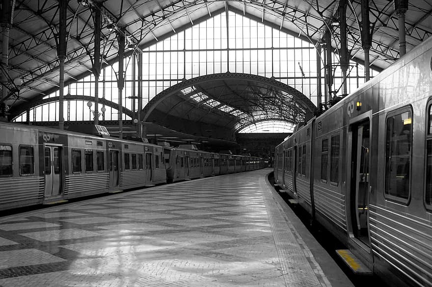 tog, stasjon, Lisboa, svart og hvit, jernbane, avgang, hall, transportere, plattform, togstasjon