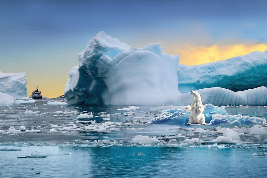 Pxclimatraction, changement climatique, dégel, iceberg, chaud, ours, mer