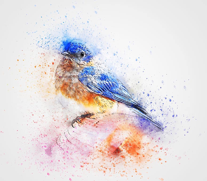 lintu, sininen, höyhenet, taide, akvarelli, eläin, värikäs, vuosikerta, luonto, taiteellinen, aquarelle