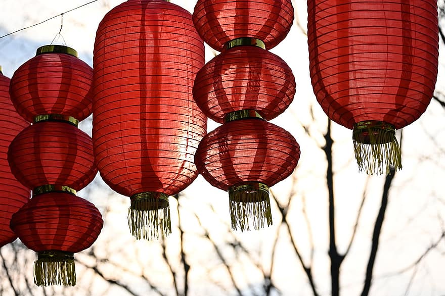 nowy Rok, latarnia, dekoracja, sztuka, kultury, uroczystość, sprzęt oświetleniowy, chińska latarnia, lampa elektryczna, chińska kultura, papierowa latarnia