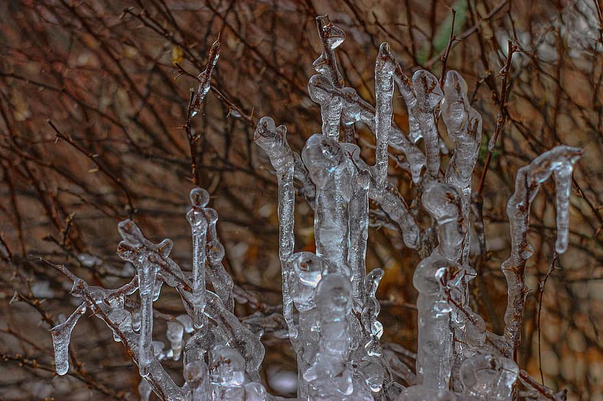 Icicles, Ice, Frost, Frozen Branch, Crystals, Frozen, Water, Drip, Cold, Nature, Icy